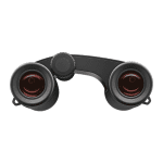 Binocolo Zeiss Victory Pocket 10x25