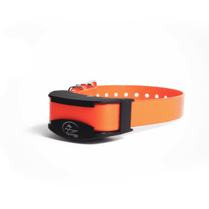 Collare aggiuntivo SportDog SportTrainer® 450m / 700m Add-A-Dog®