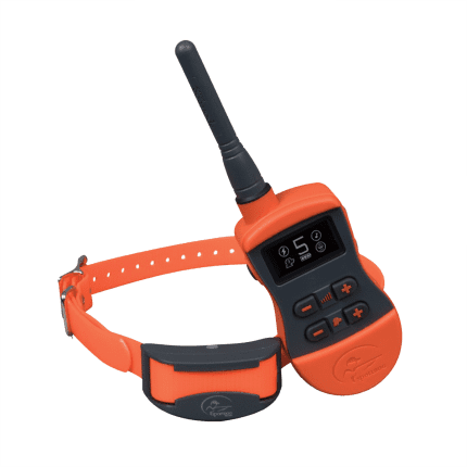 Collare educativo SportDog sistema di addestramento SportTrainer® 875