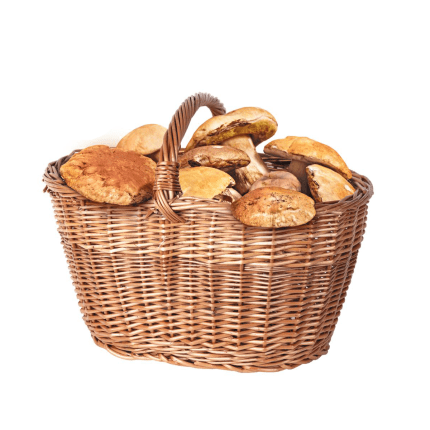 Cesto porta funghi Venturini in vimini intrecciato